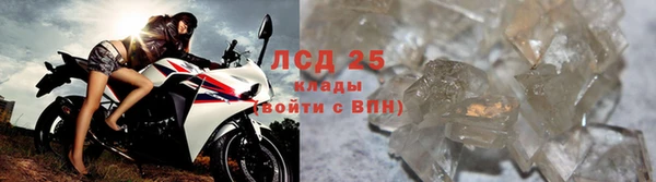 ПСИЛОЦИБИНОВЫЕ ГРИБЫ Абдулино