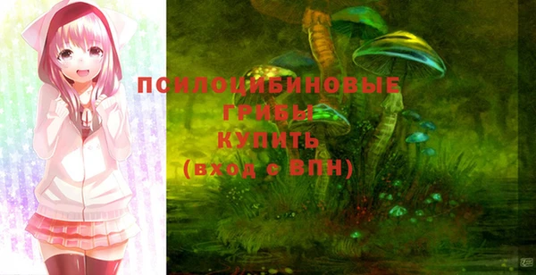 бошки Абаза