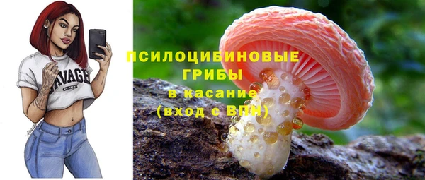 бошки Абаза