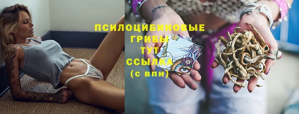 бошки Абаза